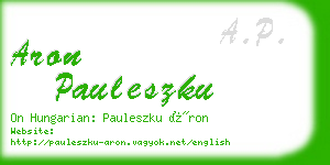 aron pauleszku business card